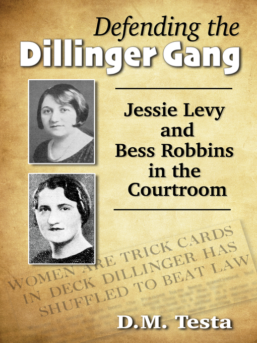 Title details for Defending the Dillinger Gang by D.M. Testa - Available